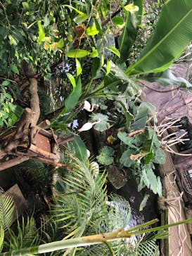 那須どうぶつ王国に投稿された画像（2021/6/27）