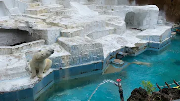 天王寺動物園に投稿された画像（2021/6/27）