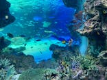 サンシャイン水族館に投稿された画像（2021/6/27）