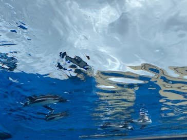 サンシャイン水族館に投稿された画像（2021/6/27）