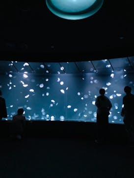 サンシャイン水族館に投稿された画像（2021/6/27）