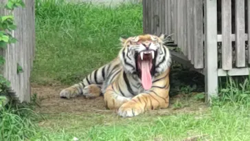 天王寺動物園に投稿された画像（2021/6/27）