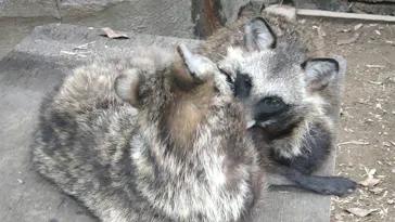 天王寺動物園に投稿された画像（2021/6/27）