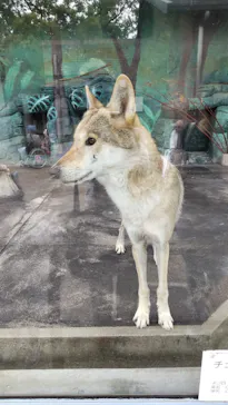 天王寺動物園に投稿された画像（2021/6/27）