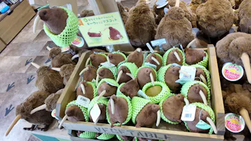 天王寺動物園に投稿された画像（2021/6/27）