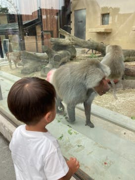 東武動物公園に投稿された画像（2021/6/27）