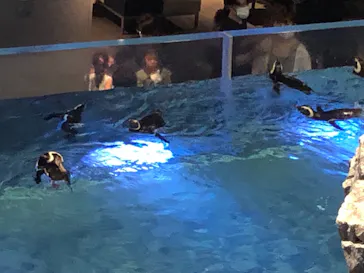 すみだ水族館に投稿された画像（2021/6/27）