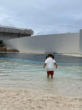 大分マリーンパレス水族館 「うみたまご」に投稿された画像（2021/6/27）