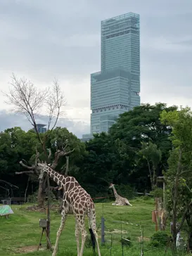 天王寺動物園に投稿された画像（2021/6/27）