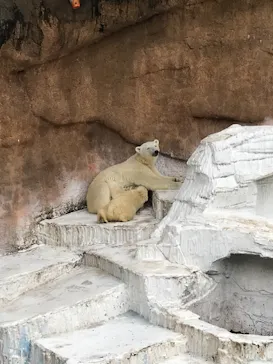 天王寺動物園に投稿された画像（2021/6/27）