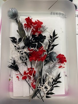 ずこうしつ〜sugamo〜に投稿された画像（2021/6/27）