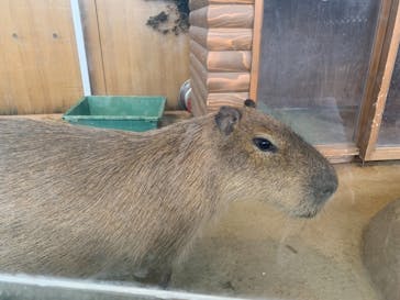 新江ノ島水族館に投稿された画像（2021/6/27）