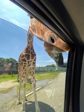 那須サファリパークに投稿された画像（2021/6/27）