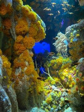 サンシャイン水族館に投稿された画像（2021/6/27）