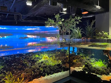 カワスイ 川崎⽔族館に投稿された画像（2021/6/27）