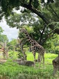 天王寺動物園に投稿された画像（2021/6/27）