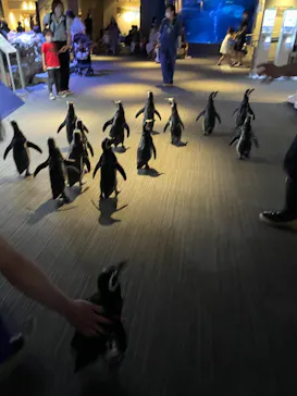 すみだ水族館に投稿された画像（2021/6/27）