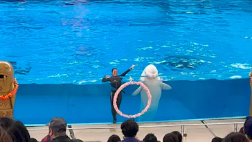 横浜・八景島シーパラダイスに投稿された画像（2021/6/27）