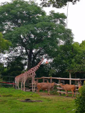 天王寺動物園に投稿された画像（2021/6/27）