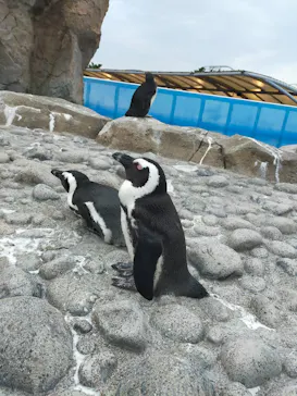 横浜・八景島シーパラダイスに投稿された画像（2021/6/27）