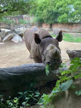 天王寺動物園に投稿された画像（2021/6/27）