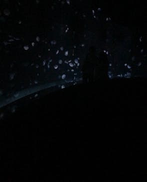 サンシャイン水族館に投稿された画像（2021/6/27）