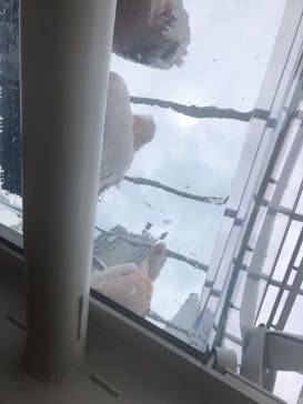 サンシャイン水族館に投稿された画像（2021/6/27）