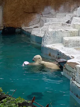 天王寺動物園に投稿された画像（2021/6/27）
