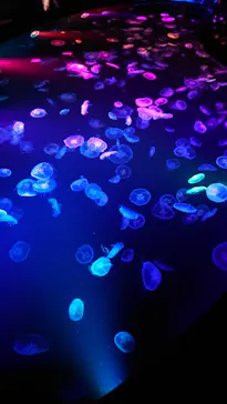 すみだ水族館に投稿された画像（2021/6/27）