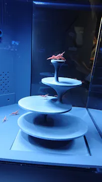 すみだ水族館に投稿された画像（2021/6/27）