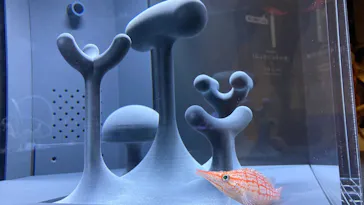 すみだ水族館に投稿された画像（2021/6/27）