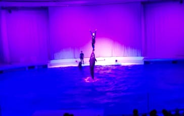 アクアワールド茨城県大洗水族館に投稿された画像（2021/6/27）