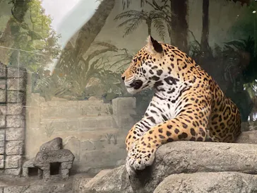 天王寺動物園に投稿された画像（2021/6/27）