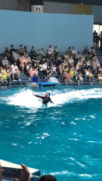 マクセル アクアパーク品川に投稿された画像（2021/6/27）