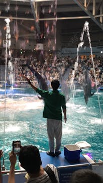 マクセル アクアパーク品川に投稿された画像（2021/6/27）