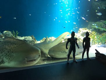 マクセル アクアパーク品川に投稿された画像（2021/6/27）