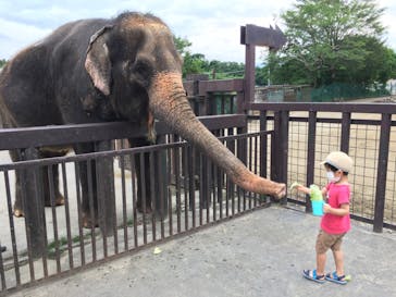 那須サファリパークに投稿された画像（2021/6/27）