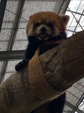 神戸どうぶつ王国に投稿された画像（2021/6/27）