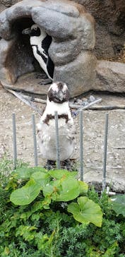 サンシャイン水族館に投稿された画像（2021/6/27）