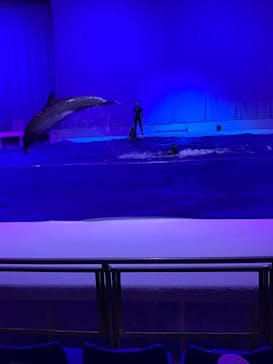 アクアワールド茨城県大洗水族館に投稿された画像（2021/6/27）