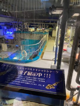 アクアワールド茨城県大洗水族館に投稿された画像（2021/6/27）