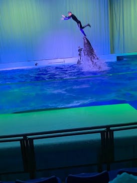 アクアワールド茨城県大洗水族館に投稿された画像（2021/6/27）