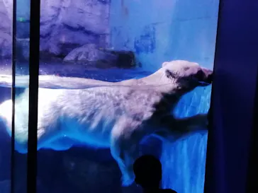 横浜・八景島シーパラダイスに投稿された画像（2021/6/27）