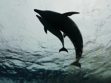 横浜・八景島シーパラダイスに投稿された画像（2021/6/27）