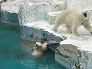 天王寺動物園に投稿された画像（2021/6/27）