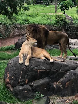 天王寺動物園に投稿された画像（2021/6/27）