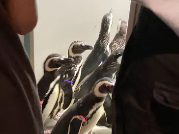 すみだ水族館に投稿された画像（2021/6/27）