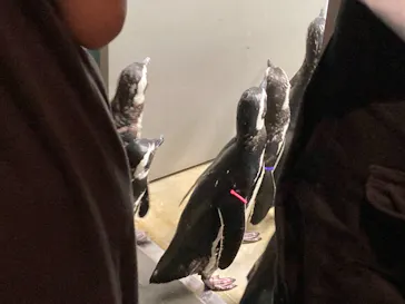 すみだ水族館に投稿された画像（2021/6/27）