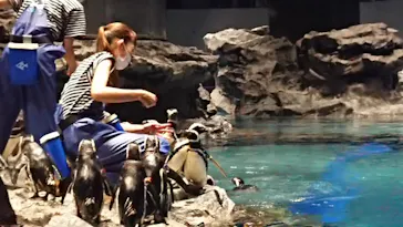 すみだ水族館に投稿された画像（2021/6/28）