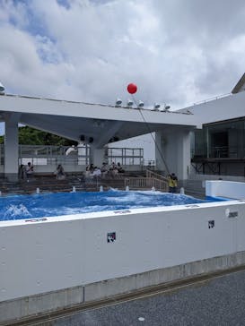 九十九島水族館海きららに投稿された画像（2021/6/28）